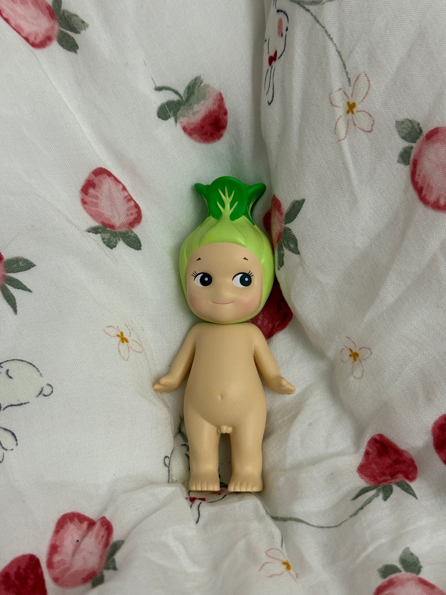 Bokchoy sonny